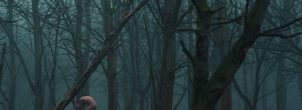 Chapter One: Nocturnal Wanderer